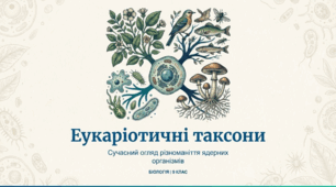 Огляд основних еукаріотичних таксонів