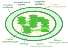 0901a0cq-1aa1-234x166.png