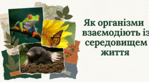 Як організми взаємодіють із середовищем життя