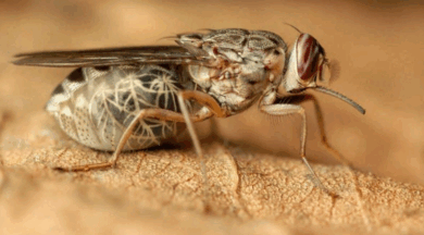 0901a0pc-9d7a-755x419.png
