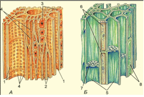 0901a0uj-a621-479x322.png