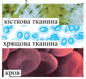 0901a0wh-f793-168x154.png