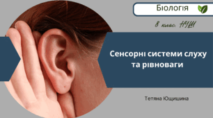 Сенсорні системи слуху та рівноваги. 8 клас. НУШ