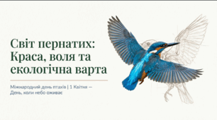 Міжнародний день птахів
