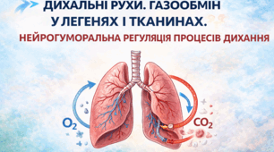  Дихальні рухи. Газообмін у легенях і тканинах. Нейрогуморальна регуляція процесів дихання