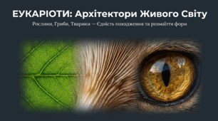 Презентація "Еукаріоти"