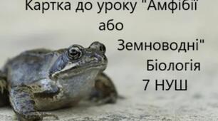 Картка до уроку "Амфібії або Земноводні"