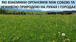 Презентація до уроку: "ЯКІ ВЗАЄМИНИ ОРГАНІЗМІВ МІЖ СОБОЮ ТА НЕЖИВОЮ ПРИРОДОЮ НА ЛУКАХ І ГОРОДАХ"