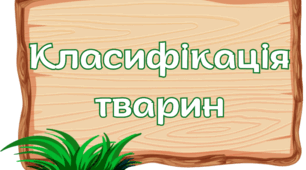 Наочність "Класифікація тварин" 10 груп