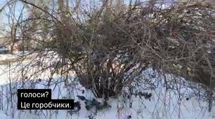 відео-спостереження.
