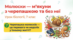 7 клас НУШ. Молюски