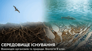 Презентація "Середовища існування"