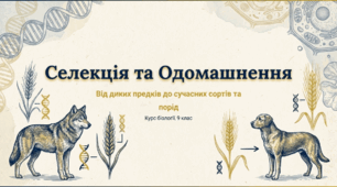 Введення в культуру рослин. Методи селекції рослин. Одомашнення тварин. Методи селекції тварин.