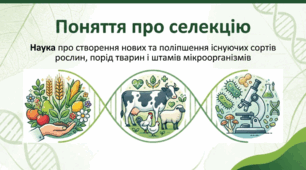 Поняття про селекцію