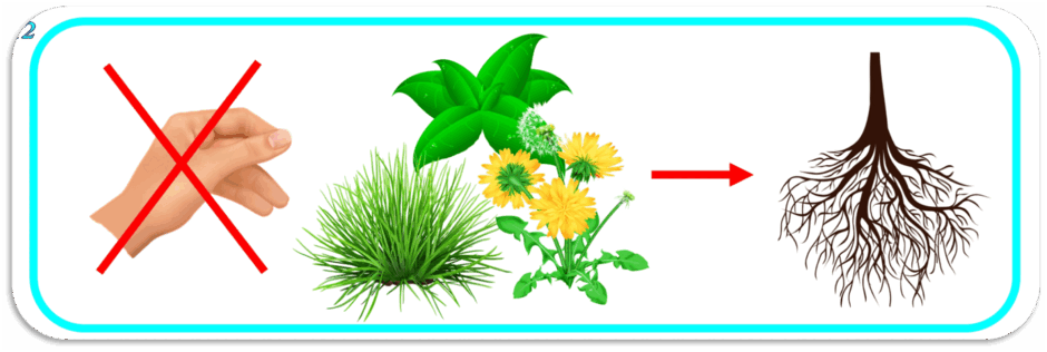 0901a7vj-9b3c-940x316.png