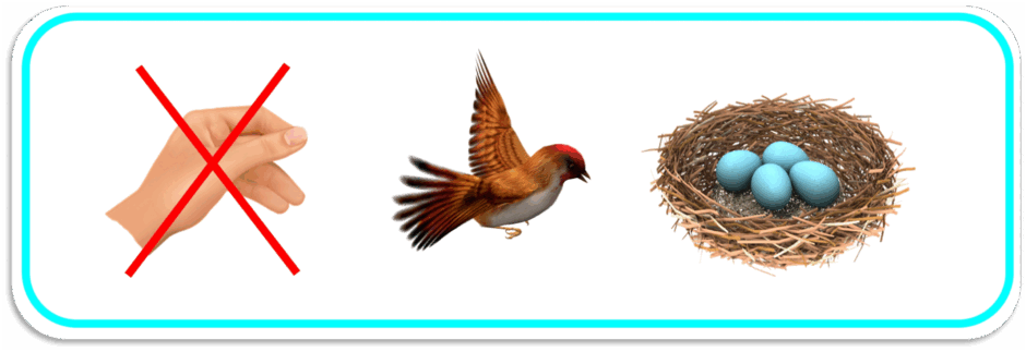 0901a7vy-ca85-940x323.png