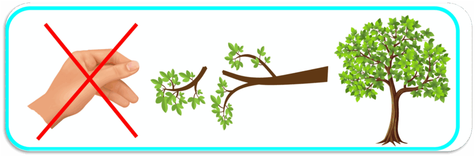 0901a7wf-e5ec-940x311.png