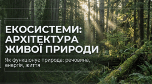Презентація "Екосистеми та їх функціонування"