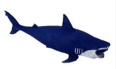 0901a8wh-ebfd-170x101.png