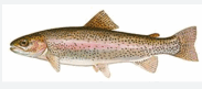 0901a8ws-9715-183x81.png