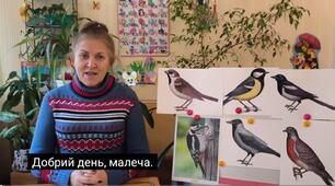 відео-заняття з розвитку мовлення.