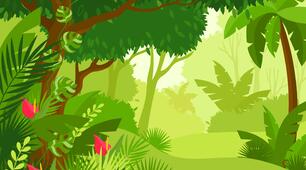 Unit 12. Incredible Wildlife. Prepare 8. Vocabulary: Describing Animals
