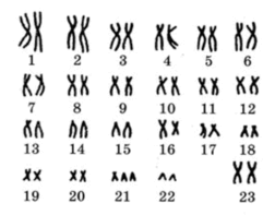 0901aa5e-10f6-241x197.png