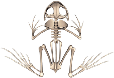 0901aa8r-c6b9-366x251.png