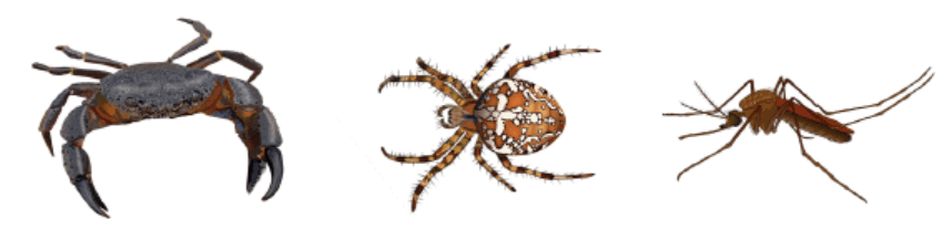0901aaan-e0a0-849x217.png