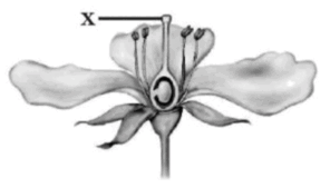 0901aajm-b319-296x169.png