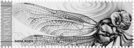 0901aapa-7b00-567x205.png