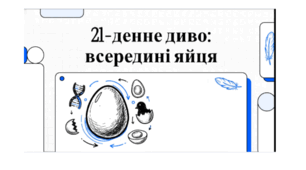 Цікаво, дивовижно! Захоплива подорож «21-денне диво: всередині яйця»