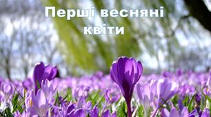 Перші весняні квіти