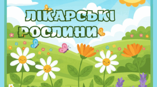 Лепбук "Лікарські рослини"