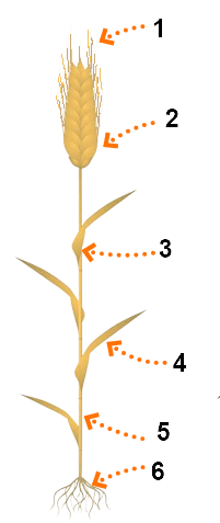 0901adia-e29d-227x538.png