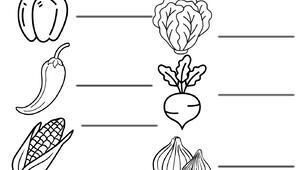 Робочий аркуш з теми овочі"Vegetables"