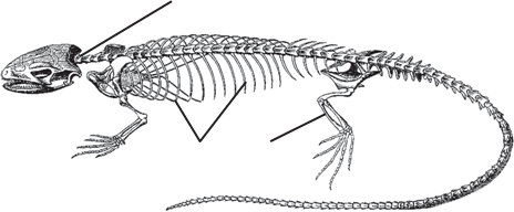 0901ae6g-0720-464x192.png