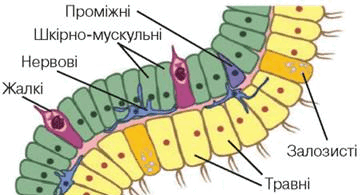0901ah0a-3450-362x195.png