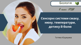 Сенсорні системи смаку, нюху, температури, дотику й болю. 8 клас. НУШ