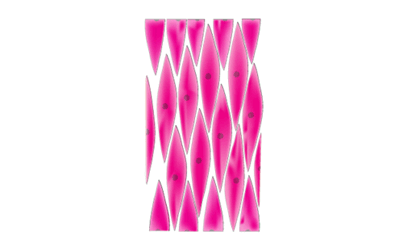 0901ao3e-f4d7-403x250.png