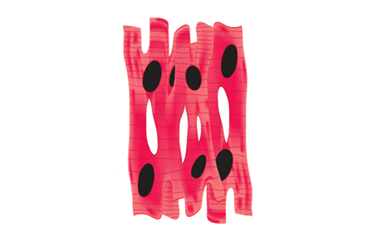 0901ao46-cfbf-379x234.png