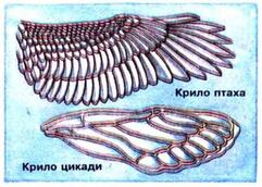 0901aq0a-51e3-241x172.jpg