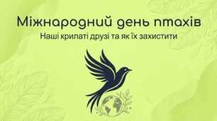 Міжнародний день птахів