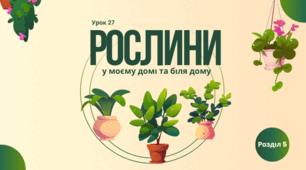 Рослини у моєму домі та біля дому