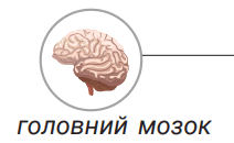 0901asyu-578c-212x130.png