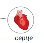 0901aszv-27b9-154x149.png