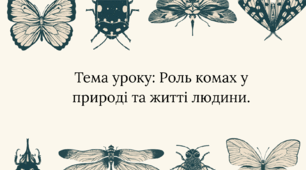 Роль комах у природі та житті людини