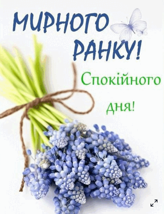 0901au60-47fa-525x683.png