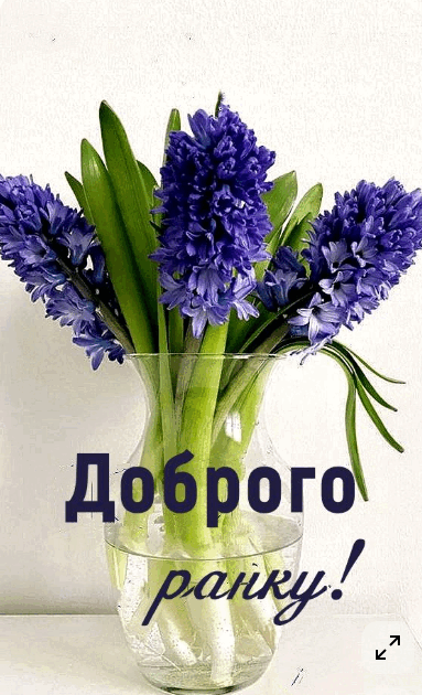 0901au6i-e7ab-383x630.png