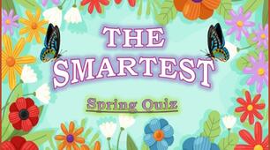 The Smartest. Spring Quiz